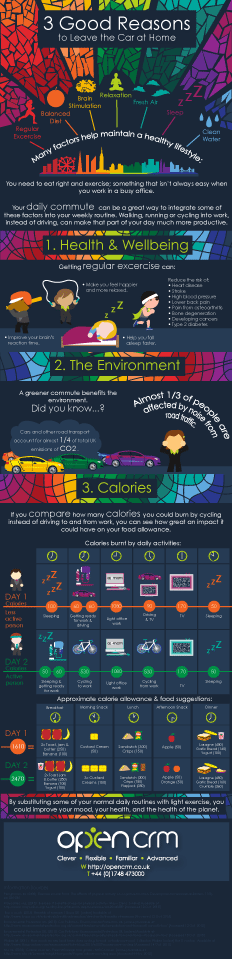 Healthy Living Infographic
