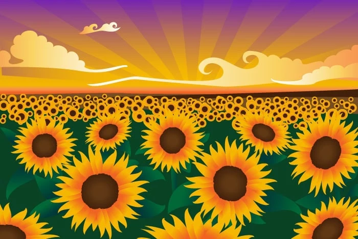 OpenCRM Sunflowers