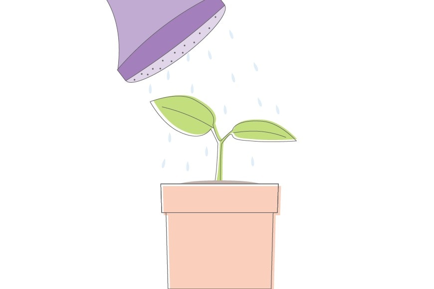 Personal development