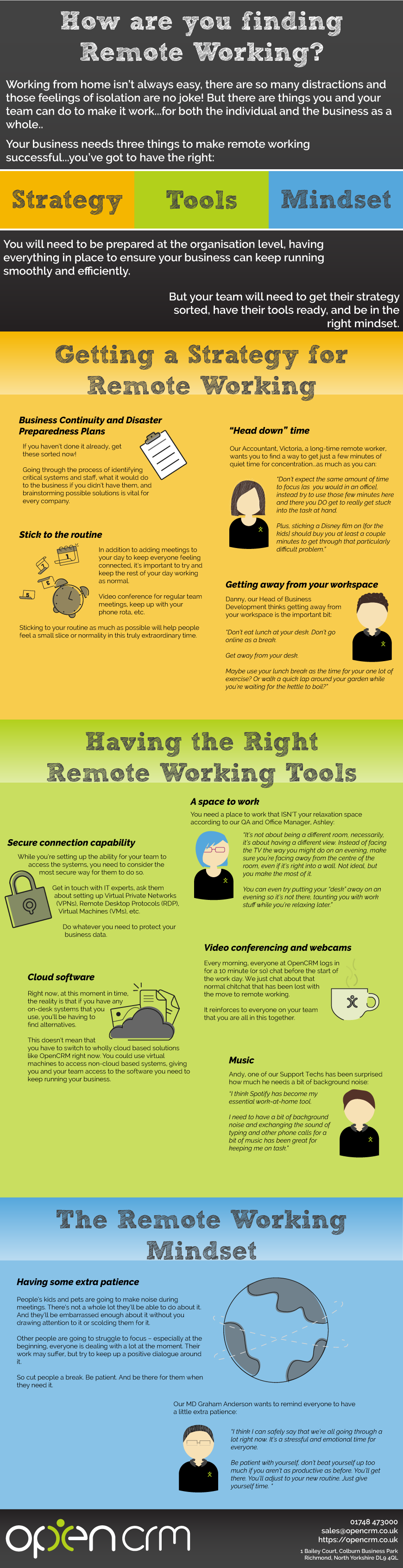Remote Working Infographic