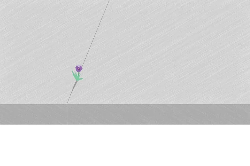 Managing a Business during Covid and Brexit