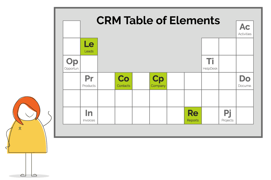 Essential CRM Elements